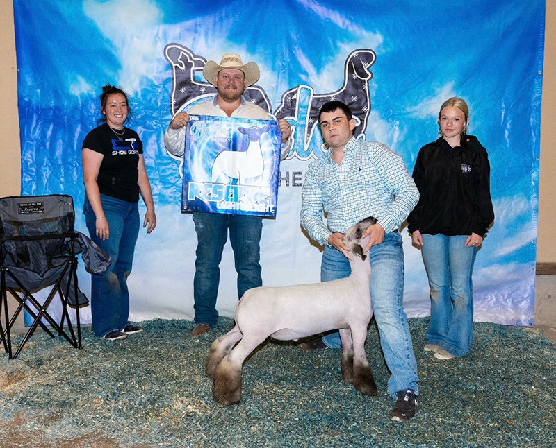 Champion Natural Mkt Lamb, Carolina Clash Champion Natural Mkt Lamb, Carolina Clash